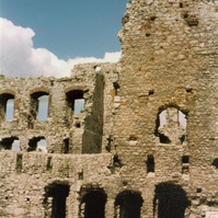 ogro96_015.jpg