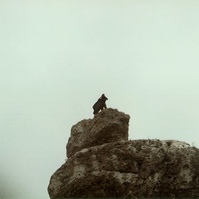 06.jpg