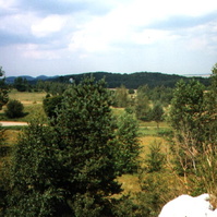 05.jpg