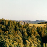 04.jpg