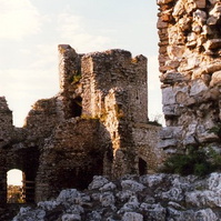 07.jpg