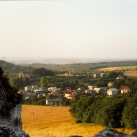 21.jpg