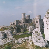 54.jpg