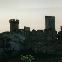 57.jpg