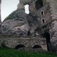 59.jpg