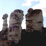 126.jpg