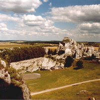 134.jpg