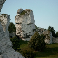 SIMG2982.jpg