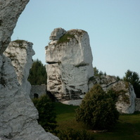 SIMG2983.jpg