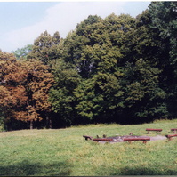 05.jpg