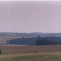 73.jpg