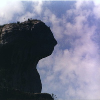 74.jpg