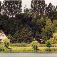 86.jpg