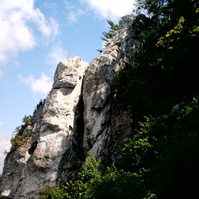 IMAG0004.JPG