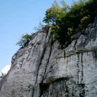IMAG0011_002.JPG
