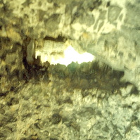 IMAG0060.JPG