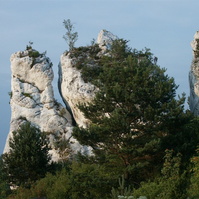 mirogro048.JPG
