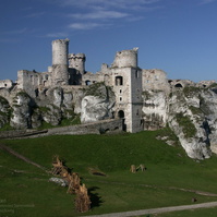PICT2206.JPG