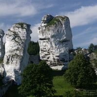 PICT2210.JPG