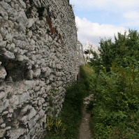 IMG_5121.JPG