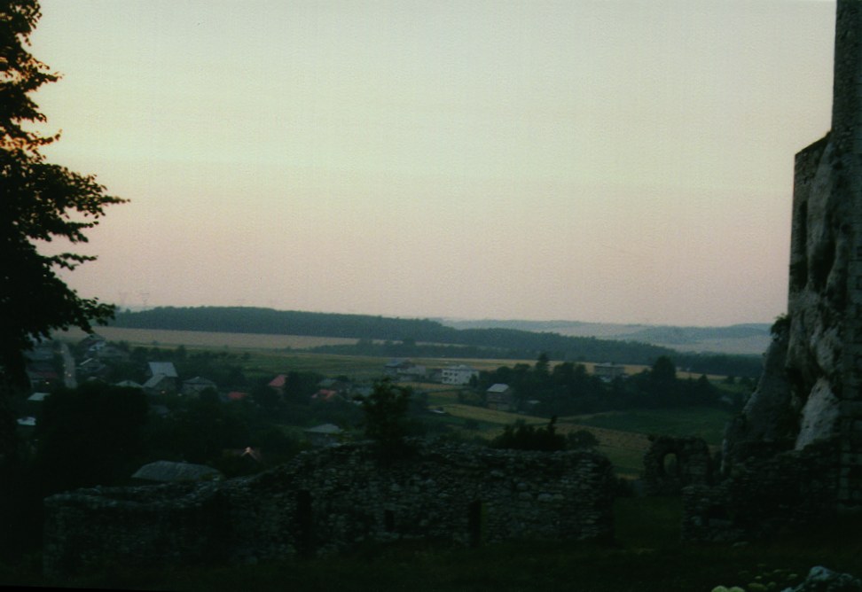 49.jpg